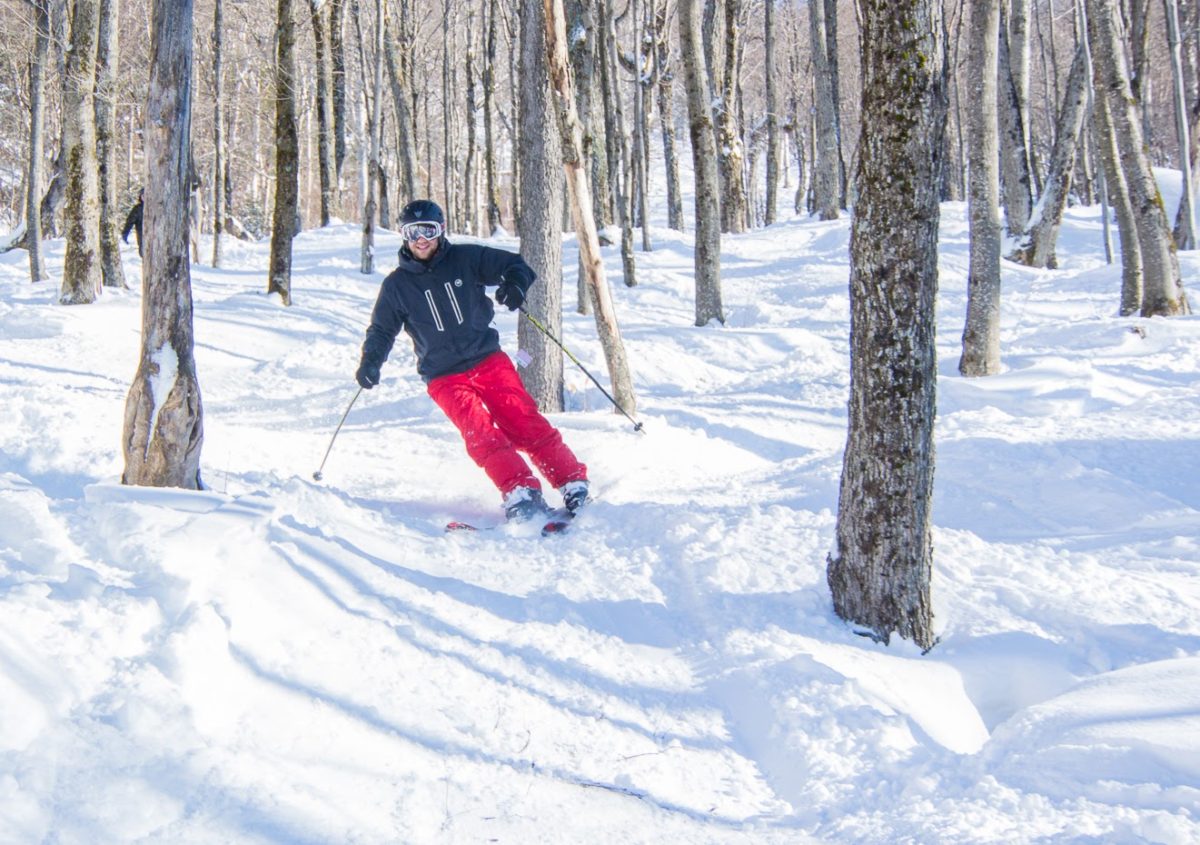 Sous-bois_SkiForêt_SUTTON