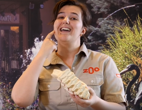 Des activités, en v'là !