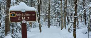 Header_parc ecologique jean-paul forand_shefford