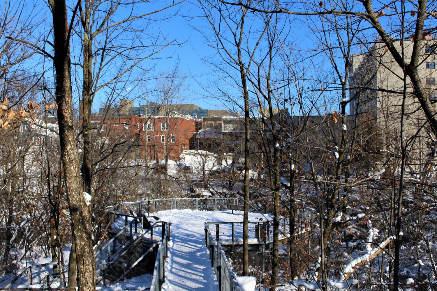 Sentier de la rivière, hiver, ciel, soleil, pont, nature, paysage