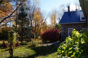 09-Jardin