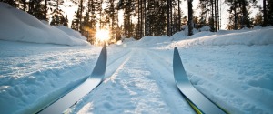 Ski de fond sous les étoiles aux Cèdres