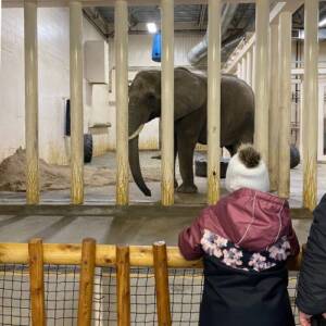 image_Zoo hiver granby