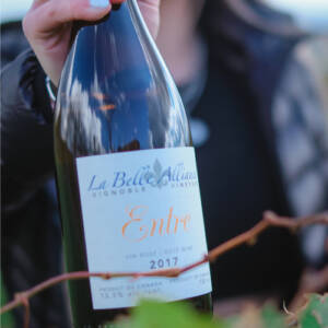 Vin orange_Vignoble la belle alliance